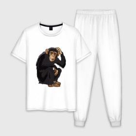 Мужская пижама хлопок с принтом Обезьяна думает в Екатеринбурге, 100% хлопок | брюки и футболка прямого кроя, без карманов, на брюках мягкая резинка на поясе и по низу штанин
 | думать | животное | мавпа | обезьяна | человек