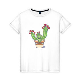 Женская футболка хлопок с принтом Кактус в Екатеринбурге, 100% хлопок | прямой крой, круглый вырез горловины, длина до линии бедер, слегка спущенное плечо | горшок | растение | цветет | цветок