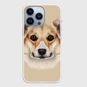 Чехол для iPhone 13 Pro с принтом Pembroke в Екатеринбурге,  |  | голова | пемброк | собака