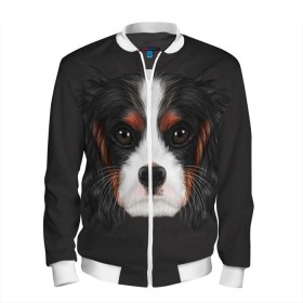 Мужской бомбер 3D с принтом Cavalier King Charles в Екатеринбурге, 100% полиэстер | застегивается на молнию, по бокам два кармана без застежек, по низу бомбера и на воротнике - эластичная резинка | голова | собака | спаниель