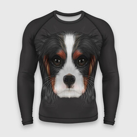 Мужской рашгард 3D с принтом Cavalier King Charles в Екатеринбурге,  |  | голова | собака | спаниель