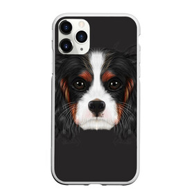 Чехол для iPhone 11 Pro матовый с принтом Cavalier King Charles в Екатеринбурге, Силикон |  | голова | собака | спаниель