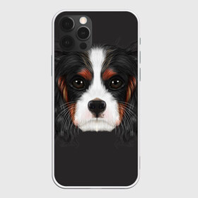 Чехол для iPhone 12 Pro Max с принтом Cavalier King Charles в Екатеринбурге, Силикон |  | голова | собака | спаниель