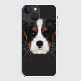 Чехол для iPhone 13 mini с принтом Cavalier King Charles в Екатеринбурге,  |  | голова | собака | спаниель