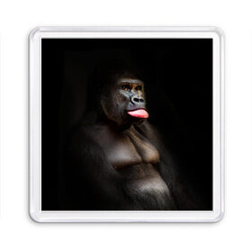 Магнит 55*55 с принтом Горилла в Екатеринбурге, Пластик | Размер: 65*65 мм; Размер печати: 55*55 мм | горилла | животные | обезьяна | прикол | природа | смешно | юмор | язык