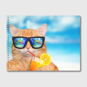 Альбом для рисования с принтом КОТ НА ПЛЯЖЕ в Екатеринбурге, 100% бумага
 | матовая бумага, плотность 200 мг. | Тематика изображения на принте: summer | апельсиновый сок | кот | кот на пляже | коте | котик | котэ | котяра | лето | море | небо | отдых | очки | пляже