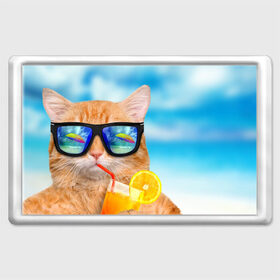 Магнит 45*70 с принтом Кот на пляже в Екатеринбурге, Пластик | Размер: 78*52 мм; Размер печати: 70*45 | Тематика изображения на принте: summer | апельсиновый сок | кот | кот на пляже | коте | котик | котэ | котяра | лето | море | небо | отдых | очки | пляже