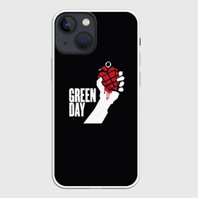 Чехол для iPhone 13 mini с принтом Green Day в Екатеринбурге,  |  | american idiot