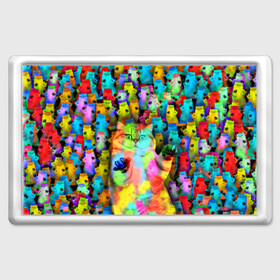 Магнит 45*70 с принтом Котики на дискотеке в Екатеринбурге, Пластик | Размер: 78*52 мм; Размер печати: 70*45 | кошки | паттерн | психоделика | разноцветный | яркий