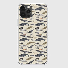 Чехол для iPhone 12 Pro Max с принтом Whales pattern в Екатеринбурге, Силикон |  | whale | акула | горбач | касатка | кашалот | кит | море | океан | рыбы | синий кит
