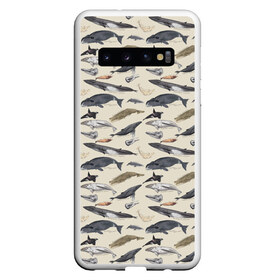 Чехол для Samsung Galaxy S10 с принтом Whales pattern в Екатеринбурге, Силикон | Область печати: задняя сторона чехла, без боковых панелей | whale | акула | горбач | касатка | кашалот | кит | море | океан | рыбы | синий кит
