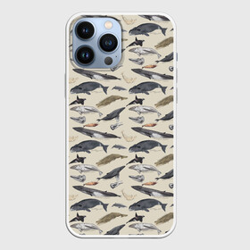 Чехол для iPhone 13 Pro Max с принтом Whales pattern в Екатеринбурге,  |  | Тематика изображения на принте: whale | акула | горбач | касатка | кашалот | кит | море | океан | рыбы | синий кит