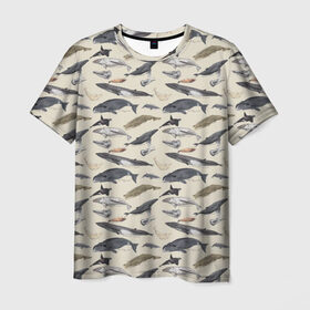 Мужская футболка 3D с принтом Whales pattern в Екатеринбурге, 100% полиэфир | прямой крой, круглый вырез горловины, длина до линии бедер | whale | акула | горбач | касатка | кашалот | кит | море | океан | рыбы | синий кит