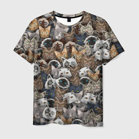 Мужская футболка 3D с принтом Коты разных пород в Екатеринбурге, 100% полиэфир | прямой крой, круглый вырез горловины, длина до линии бедер | бенгальский | кот | котик | котики | кошка | мейн кун | паттерн | персидский | сиамский | сфинкс