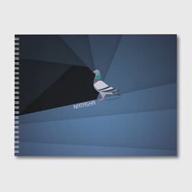 Альбом для рисования с принтом Голубь Наташа в Екатеринбурге, 100% бумага
 | матовая бумага, плотность 200 мг. | natasha | голубь наташа | мемы