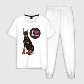 Мужская пижама хлопок с принтом Я люблю Добермана в Екатеринбурге, 100% хлопок | брюки и футболка прямого кроя, без карманов, на брюках мягкая резинка на поясе и по низу штанин
 | Тематика изображения на принте: доберман | с доберманом | собака | собаки | собачки | я люблю