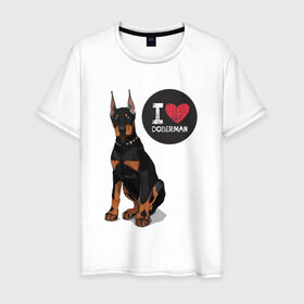 Мужская футболка хлопок с принтом Я люблю Добермана в Екатеринбурге, 100% хлопок | прямой крой, круглый вырез горловины, длина до линии бедер, слегка спущенное плечо. | доберман | с доберманом | собака | собаки | собачки | я люблю