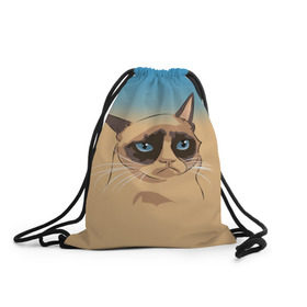 Рюкзак-мешок 3D с принтом Grumpy cat ART в Екатеринбурге, 100% полиэстер | плотность ткани — 200 г/м2, размер — 35 х 45 см; лямки — толстые шнурки, застежка на шнуровке, без карманов и подкладки | cat | grumpy | грустный кот | киса | кот | котэ | котяра | кошка | мем | сердитый кот