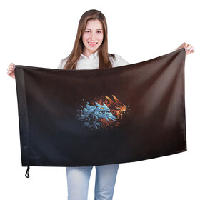Флаг 3D с принтом Jakiro - Fire and Ice в Екатеринбурге, 100% полиэстер | плотность ткани — 95 г/м2, размер — 67 х 109 см. Принт наносится с одной стороны | 