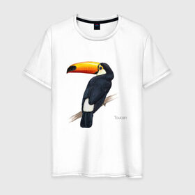 Мужская футболка хлопок с принтом Тукан в Екатеринбурге, 100% хлопок | прямой крой, круглый вырез горловины, длина до линии бедер, слегка спущенное плечо. | птица | птицы | с птицей | тукан | экзотика