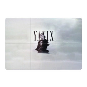 Магнитный плакат 3Х2 с принтом YANIX в Екатеринбурге, Полимерный материал с магнитным слоем | 6 деталей размером 9*9 см | Тематика изображения на принте: 