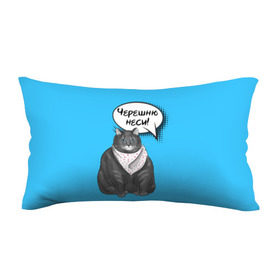 Подушка 3D антистресс с принтом Толстый кот в Екатеринбурге, наволочка — 100% полиэстер, наполнитель — вспененный полистирол | состоит из подушки и наволочки на молнии | еда | кот | кушать | мем | черешня