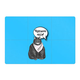 Магнитный плакат 3Х2 с принтом Толстый кот в Екатеринбурге, Полимерный материал с магнитным слоем | 6 деталей размером 9*9 см | еда | кот | кушать | мем | черешня