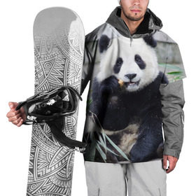 Накидка на куртку 3D с принтом Большая панда в Екатеринбурге, 100% полиэстер |  | бамбук | белый | джунгли | дикое | животное | китай | лес | медведь | черный