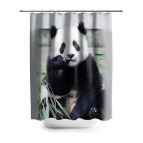 Штора 3D для ванной с принтом Большая панда в Екатеринбурге, 100% полиэстер | плотность материала — 100 г/м2. Стандартный размер — 146 см х 180 см. По верхнему краю — пластиковые люверсы для креплений. В комплекте 10 пластиковых колец | бамбук | белый | джунгли | дикое | животное | китай | лес | медведь | черный
