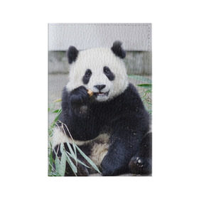 Обложка для паспорта матовая кожа с принтом Большая панда в Екатеринбурге, натуральная матовая кожа | размер 19,3 х 13,7 см; прозрачные пластиковые крепления | Тематика изображения на принте: бамбук | белый | джунгли | дикое | животное | китай | лес | медведь | черный