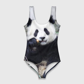Купальник-боди 3D с принтом Большая панда в Екатеринбурге, 82% полиэстер, 18% эластан | Круглая горловина, круглый вырез на спине | бамбук | белый | джунгли | дикое | животное | китай | лес | медведь | черный