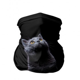 Бандана-труба 3D с принтом Милый котик в Екатеринбурге, 100% полиэстер, ткань с особыми свойствами — Activecool | плотность 150‒180 г/м2; хорошо тянется, но сохраняет форму | кот | котенок | кошка | милый | пушистый | черный