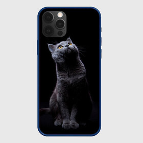Чехол для iPhone 12 Pro Max с принтом Милый котик в Екатеринбурге, Силикон |  | кот | котенок | кошка | милый | пушистый | черный