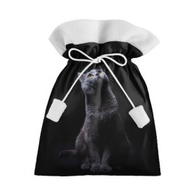 Подарочный 3D мешок с принтом Милый котик в Екатеринбурге, 100% полиэстер | Размер: 29*39 см | кот | котенок | кошка | милый | пушистый | черный