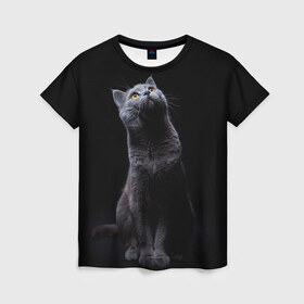 Женская футболка 3D с принтом Милый котик в Екатеринбурге, 100% полиэфир ( синтетическое хлопкоподобное полотно) | прямой крой, круглый вырез горловины, длина до линии бедер | кот | котенок | кошка | милый | пушистый | черный