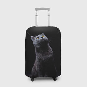 Чехол для чемодана 3D с принтом Милый котик в Екатеринбурге, 86% полиэфир, 14% спандекс | двустороннее нанесение принта, прорези для ручек и колес | кот | котенок | кошка | милый | пушистый | черный