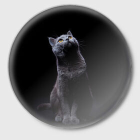 Значок с принтом Милый котик в Екатеринбурге,  металл | круглая форма, металлическая застежка в виде булавки | Тематика изображения на принте: кот | котенок | кошка | милый | пушистый | черный