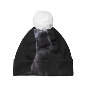 Шапка 3D c помпоном с принтом Милый котик в Екатеринбурге, 100% полиэстер | универсальный размер, печать по всей поверхности изделия | кот | котенок | кошка | милый | пушистый | черный