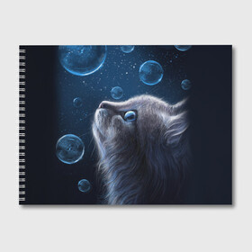 Альбом для рисования с принтом Милый котик в Екатеринбурге, 100% бумага
 | матовая бумага, плотность 200 мг. | дикое | животное | кот | кошка | млекопитающее | скорость | хищное