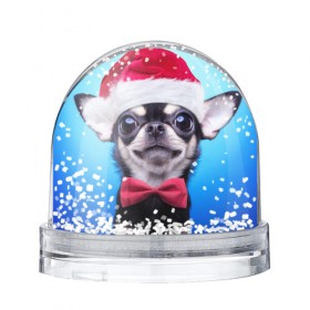 Водяной шар с принтом рождество в Екатеринбурге, Пластик | Изображение внутри шара печатается на глянцевой фотобумаге с двух сторон | dog | happy new year | бантик | взгляд | глаза | новый год | пинчер | праздник | санта клаус | собака | той терьер