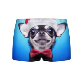 Мужские трусы 3D с принтом рождество в Екатеринбурге, 50% хлопок, 50% полиэстер | классическая посадка, на поясе мягкая тканевая резинка | Тематика изображения на принте: dog | happy new year | бантик | взгляд | глаза | новый год | пинчер | праздник | санта клаус | собака | той терьер