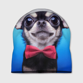 Шапка 3D с принтом рождество в Екатеринбурге, 100% полиэстер | универсальный размер, печать по всей поверхности изделия | dog | happy new year | бантик | взгляд | глаза | новый год | пинчер | праздник | санта клаус | собака | той терьер
