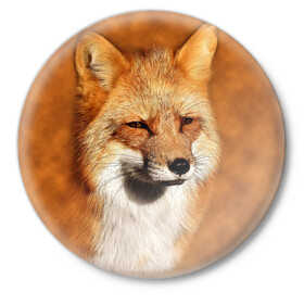 Значок с принтом Лисичка в Екатеринбурге,  металл | круглая форма, металлическая застежка в виде булавки | Тематика изображения на принте: животные | зверь | лиса | лисичка | природа | рыжая | фыр