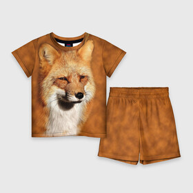 Детский костюм с шортами 3D с принтом Лисичка в Екатеринбурге,  |  | Тематика изображения на принте: животные | зверь | лиса | лисичка | природа | рыжая | фыр