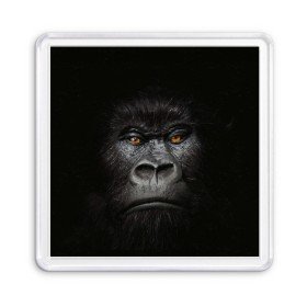 Магнит 55*55 с принтом Горилла 3D в Екатеринбурге, Пластик | Размер: 65*65 мм; Размер печати: 55*55 мм | горилла | животные | обезьянка