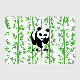 Магнитный плакат 3Х2 с принтом Still Alive в Екатеринбурге, Полимерный материал с магнитным слоем | 6 деталей размером 9*9 см | alive | bamboo | green | greenpeace | panga | peace | still | бамбук | грин | гринпис | живая | живой | зеленый | мир | панда | панды | пис