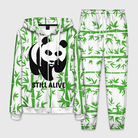 Мужской костюм 3D с принтом Still Alive в Екатеринбурге, 100% полиэстер | Манжеты и пояс оформлены тканевой резинкой, двухслойный капюшон со шнурком для регулировки, карманы спереди | alive | bamboo | green | greenpeace | panga | peace | still | бамбук | грин | гринпис | живая | живой | зеленый | мир | панда | панды | пис