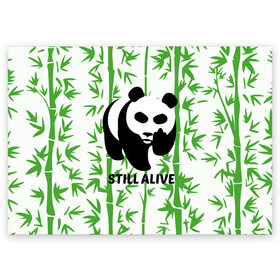 Поздравительная открытка с принтом Still Alive в Екатеринбурге, 100% бумага | плотность бумаги 280 г/м2, матовая, на обратной стороне линовка и место для марки
 | alive | bamboo | green | greenpeace | panga | peace | still | бамбук | грин | гринпис | живая | живой | зеленый | мир | панда | панды | пис