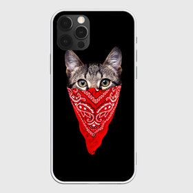 Чехол для iPhone 12 Pro Max с принтом Gangsta Cat в Екатеринбурге, Силикон |  | cat | cats | gangsta | kitten | kitty | pussy | гангстер | кот | котенок | котик | котики | коты | котята | кошка | кошки | платок