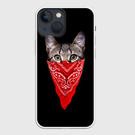 Чехол для iPhone 13 mini с принтом Gangsta Cat в Екатеринбурге,  |  | cat | cats | gangsta | kitten | kitty | pussy | гангстер | кот | котенок | котик | котики | коты | котята | кошка | кошки | платок